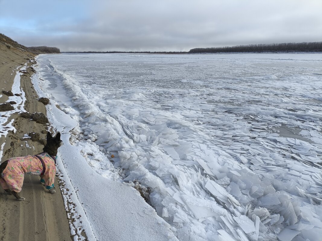 Ледостав шуршит - Anna Ivanova