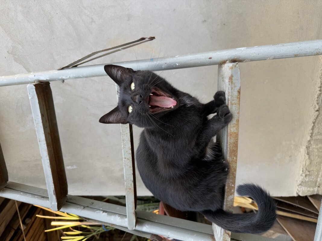 Карамелька - Валентина .