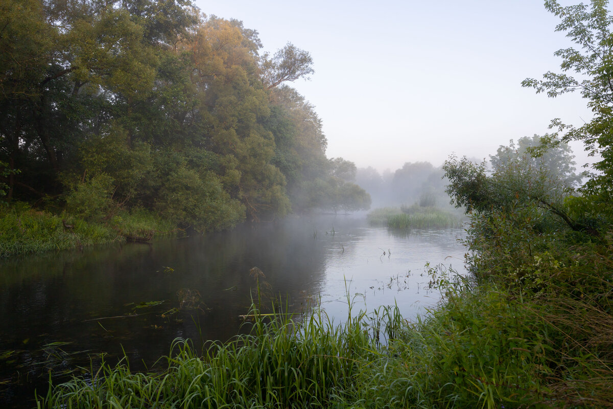 Русалочья заводь - Олег Дорошенко Русалочья заводь - Олег Дорошенко