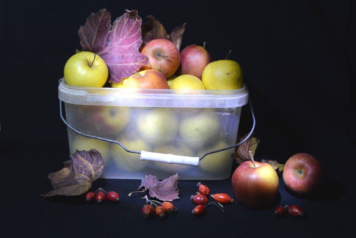 дары лета - Надежда Куркина 