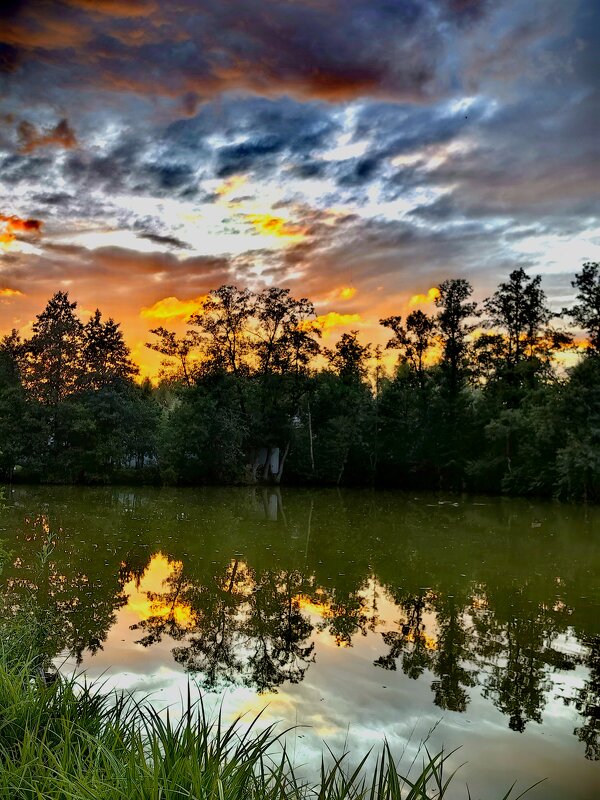 На болоте закат тоже красив... - Светлана 13.06.