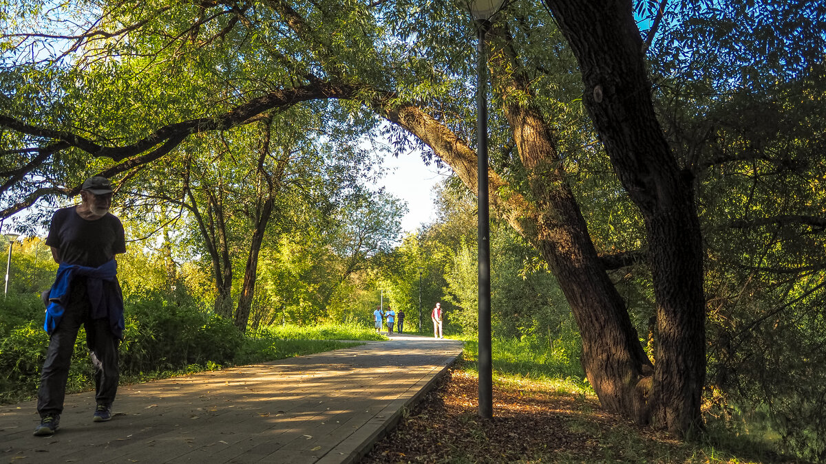 В Летнем Парке - юрий поляков