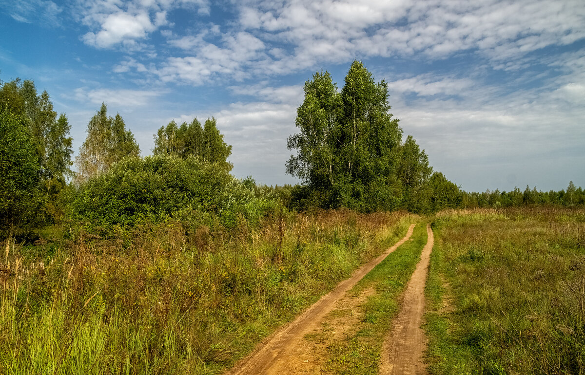 На исходе лета - Андрей Дворников