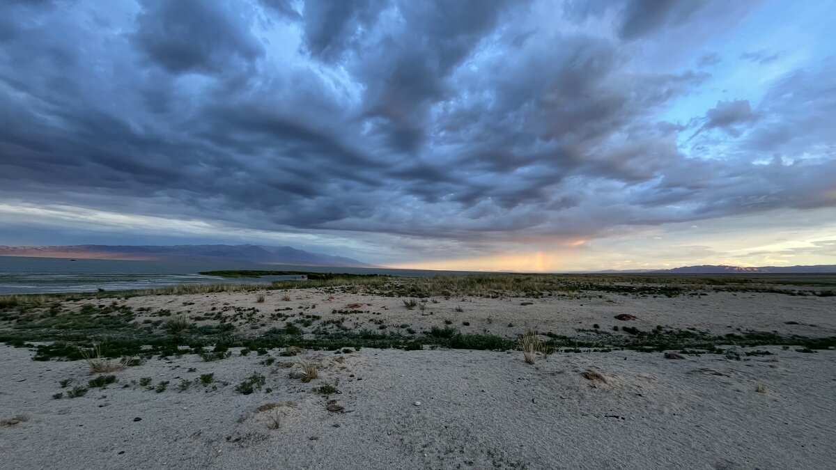 Свет и тьма - Елена Рекк