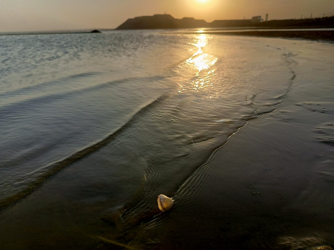 Ракушка - Татьяна Пальчикова
