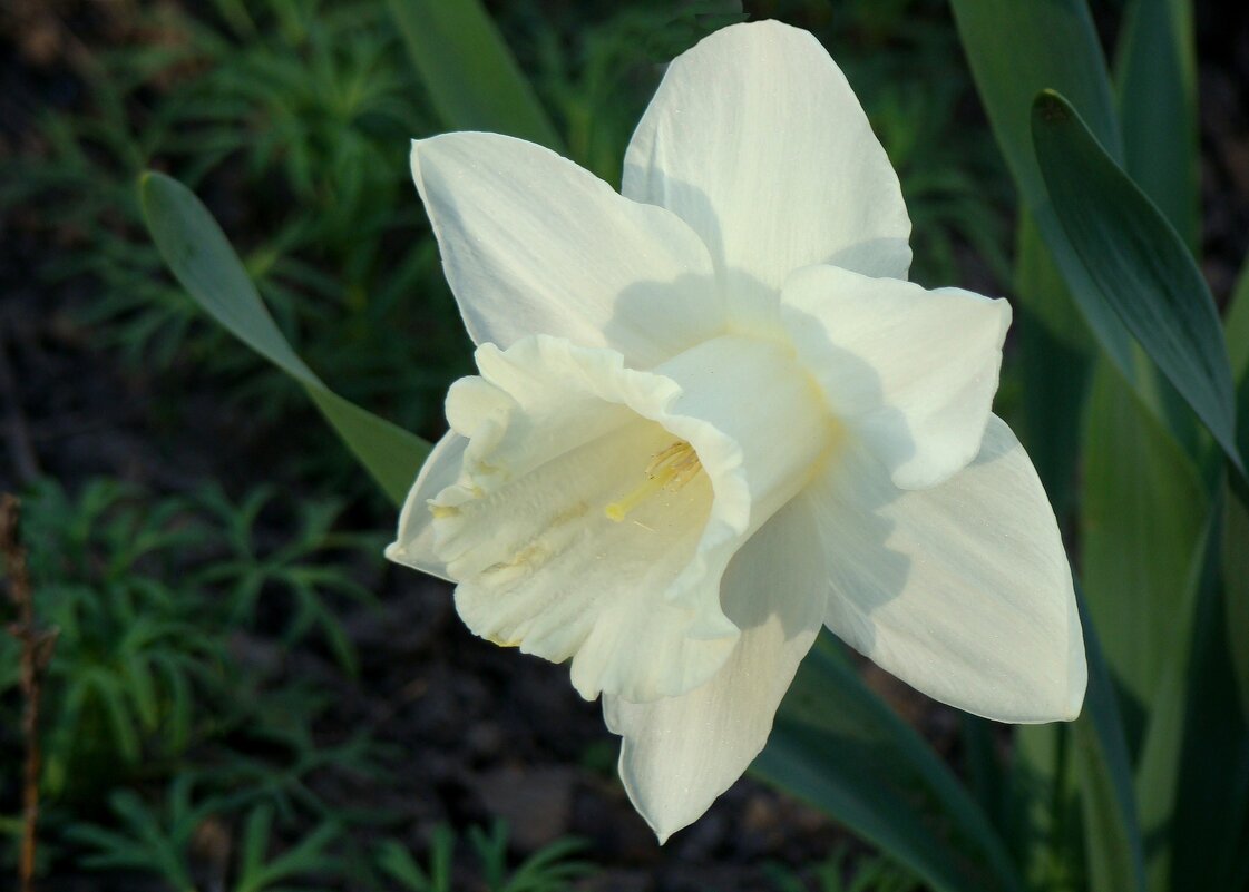 "Будет апрель!" Ю.Левитанский - Syntaxist (Светлана)