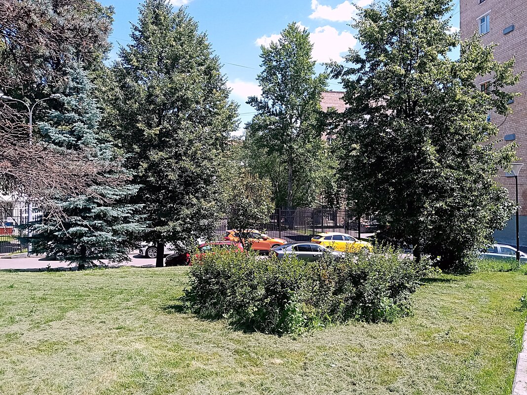 Мой двор. - Владимир Драгунский