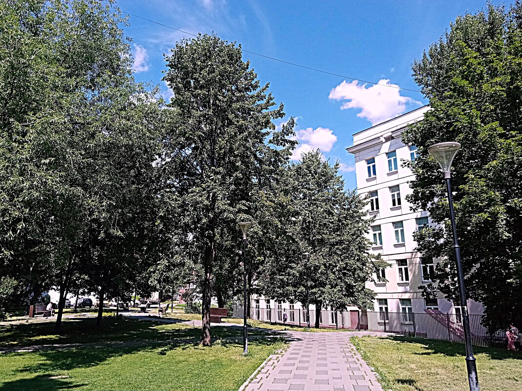 Мой двор. - Владимир Драгунский