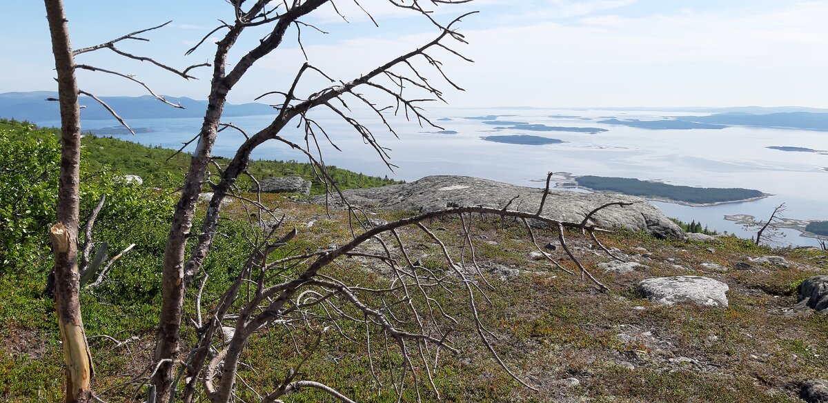 Суровое Беломорское лето - Ольга 