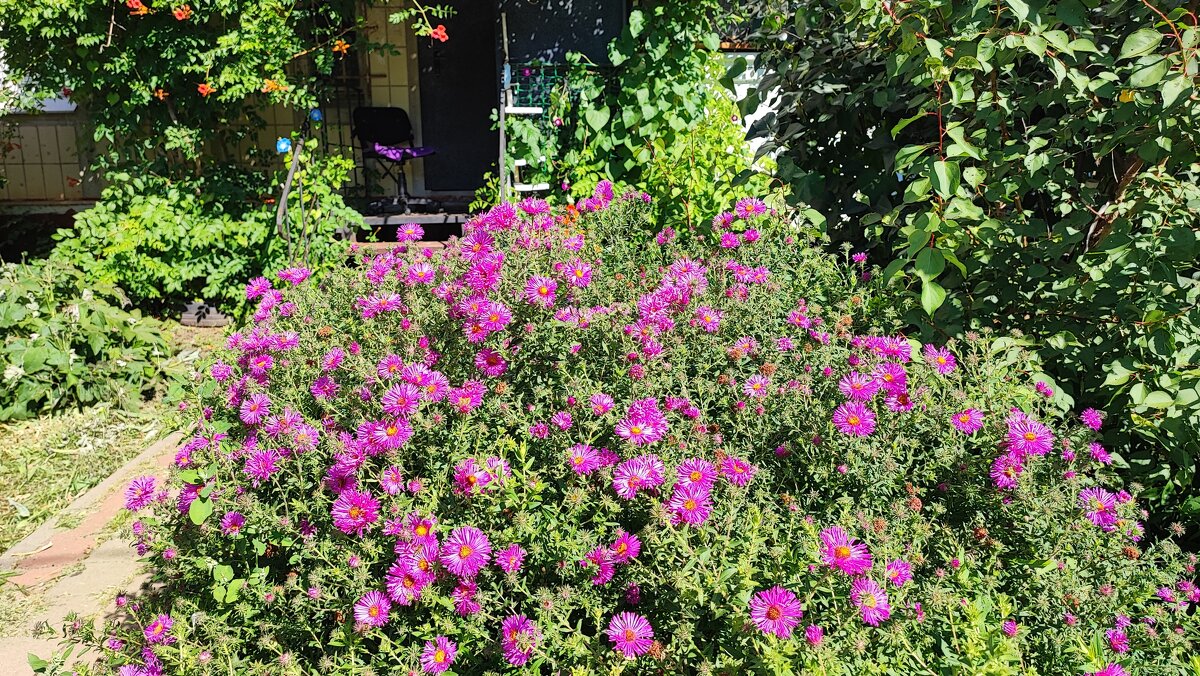 ,,, - Сергей Тимоновский ,,, - Сергей Тимоновский