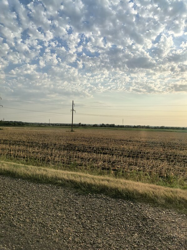 В дороге - Татьяна Михайлова