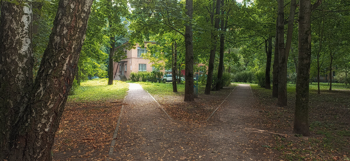 Дворики Санкт Петербурга. - Лилия *