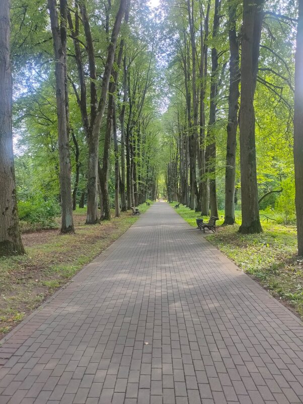 В Ботаническом саду - Ирэн 