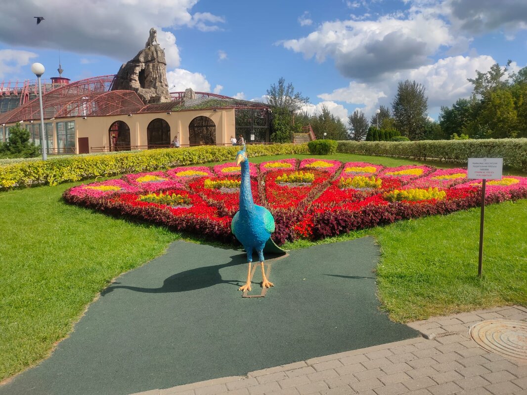 Минский зоопарк - Ирэн 