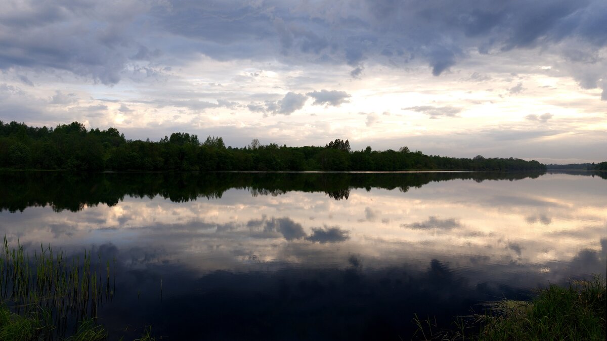 р.Полонка - Артем р.Полонка - Артем