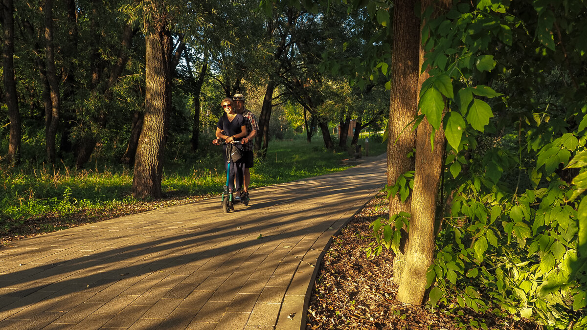 В Летнем Парке - юрий поляков
