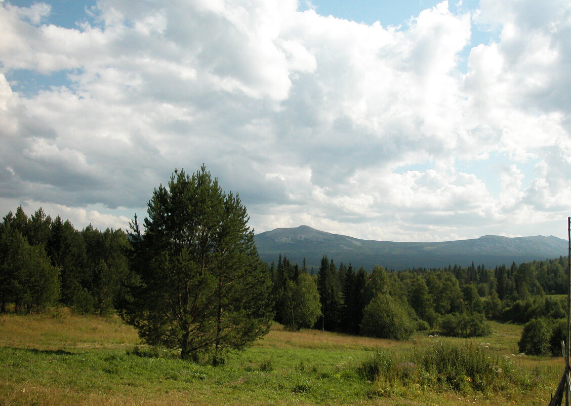 Облачный день. - Наталья Лунева 