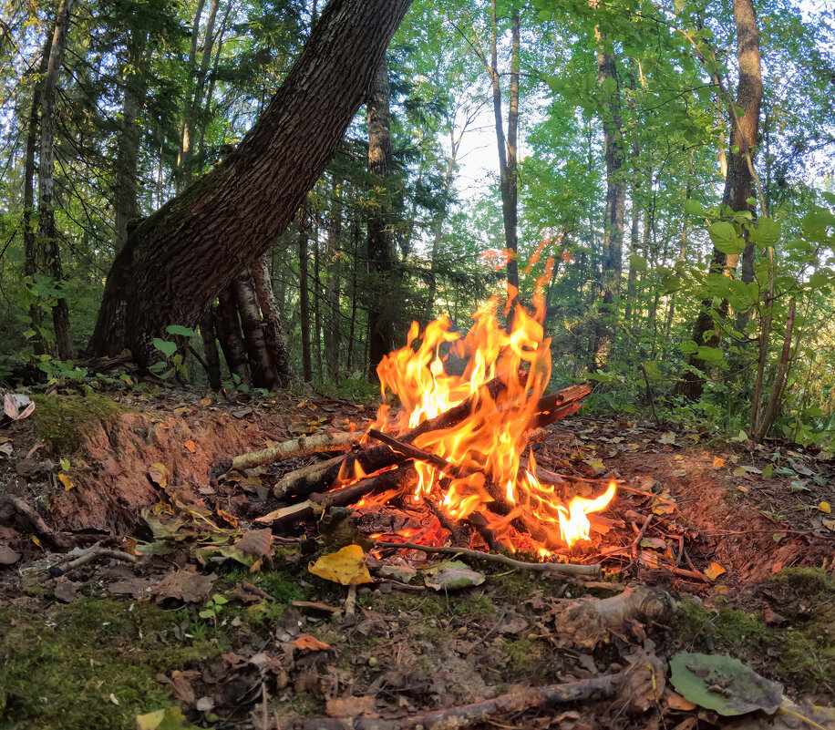Костер в лесу - Денис Бочкарёв