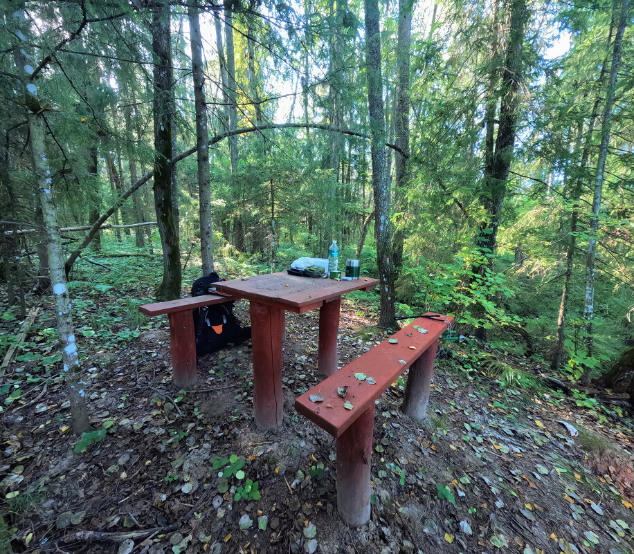 *** - Денис Бочкарёв