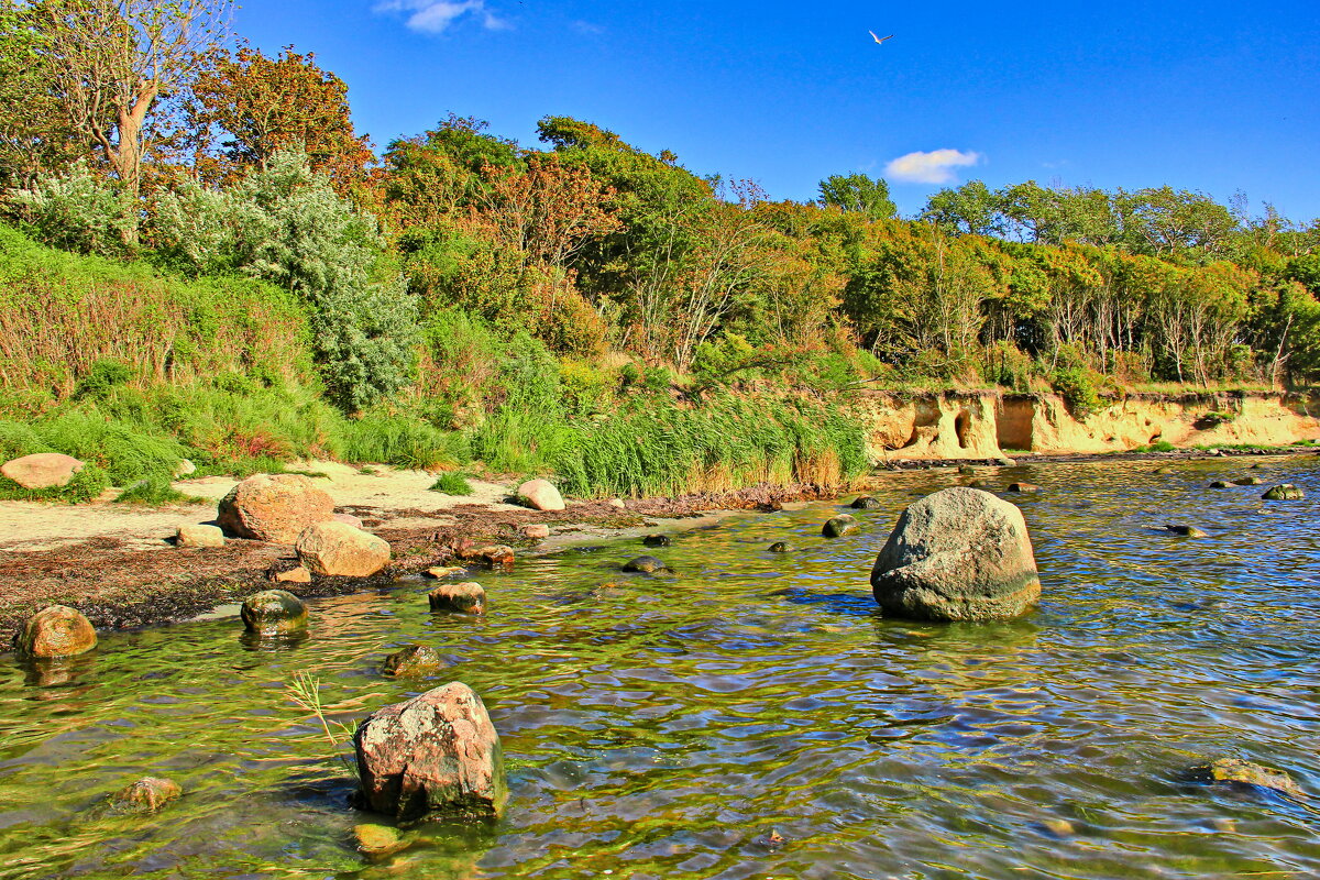 *** - Андрей K.