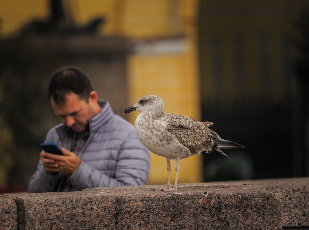 Что там с погодой на 1 сентября? - Магомед .