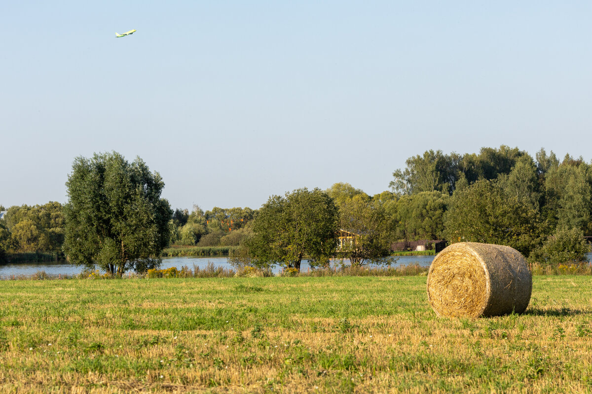 * - k-e-r-g-u-d-u DM