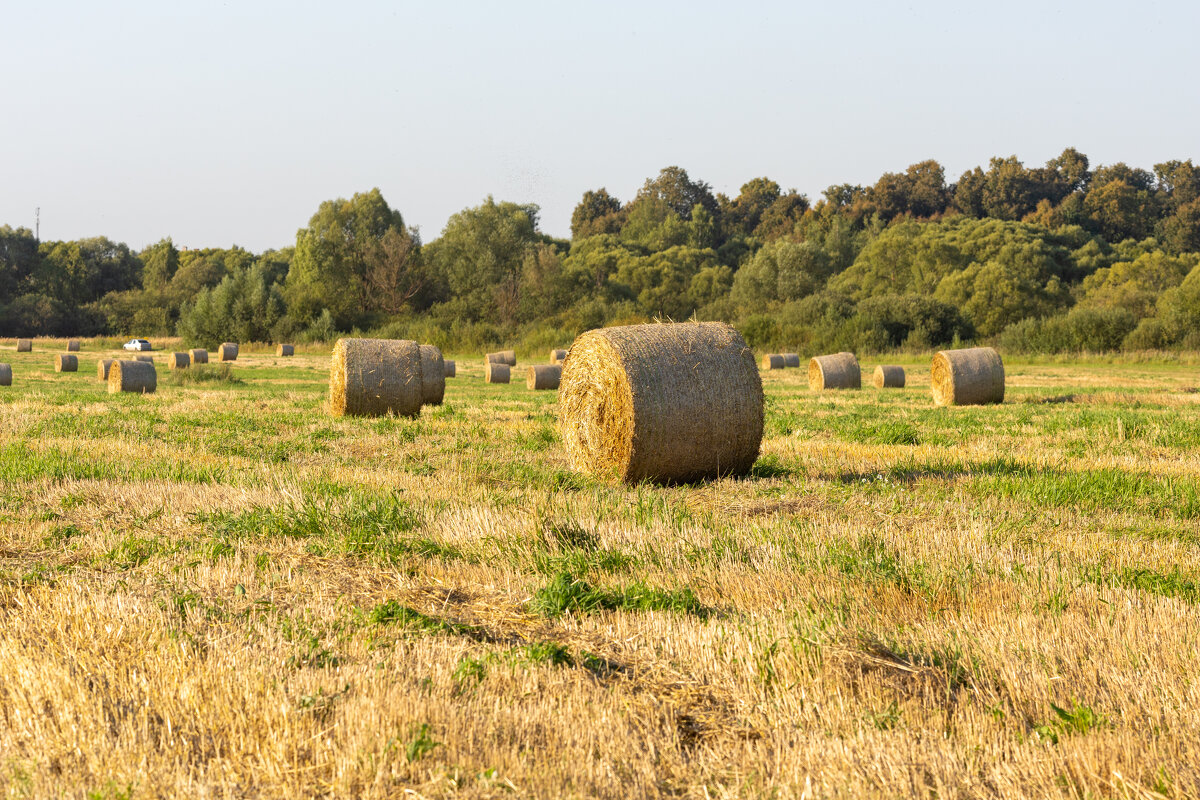 * - k-e-r-g-u-d-u DM