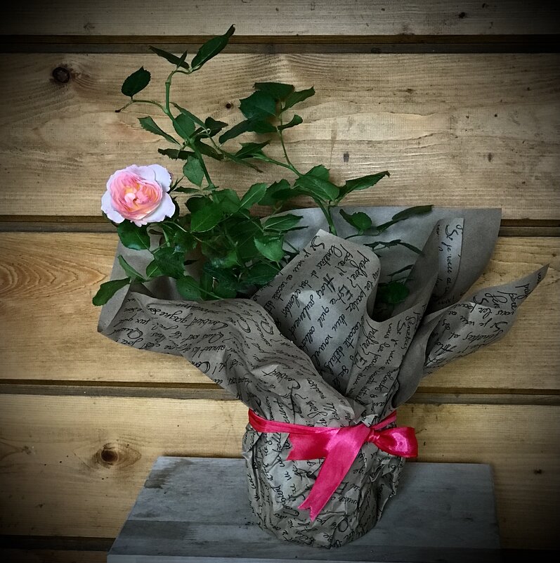 Подарок) - Любовь 