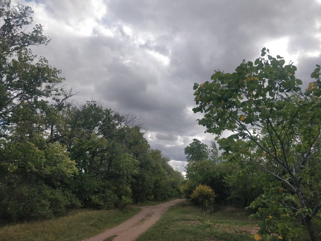 Перед дождем... - Андрей Хлопонин