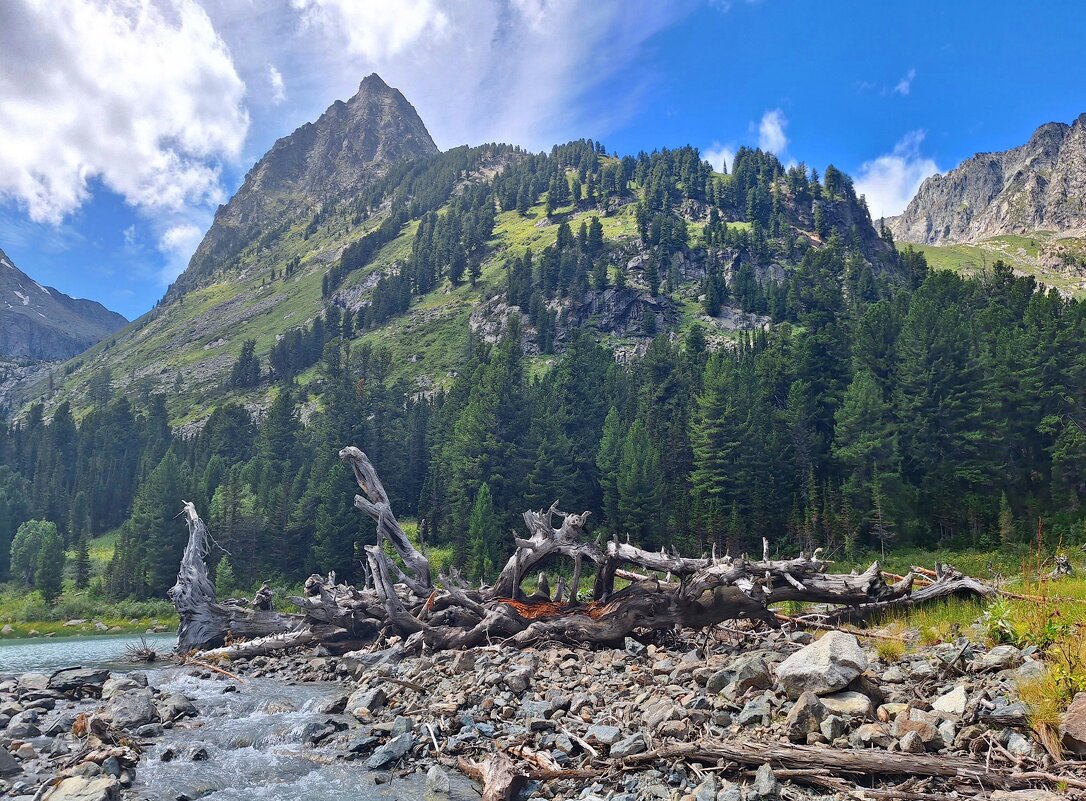 Алтай - Андрей Л. В.