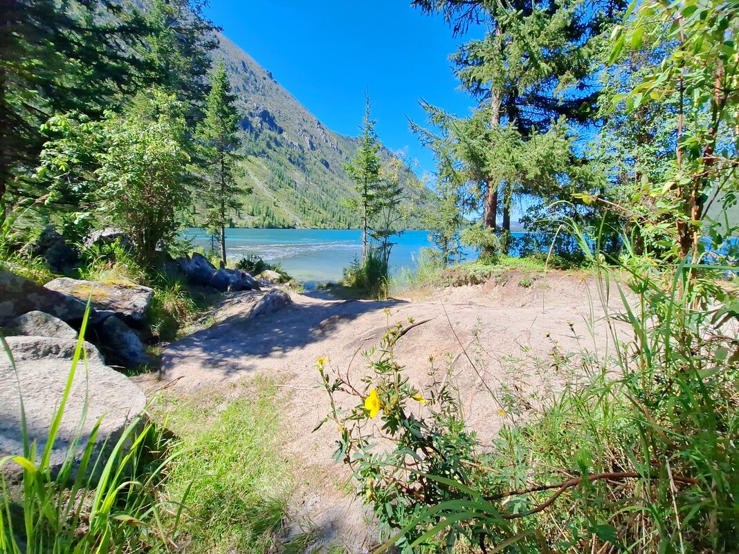 Алтай - Андрей Л. В.