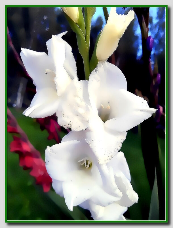 С Днём знаний! - Ольга Довженко