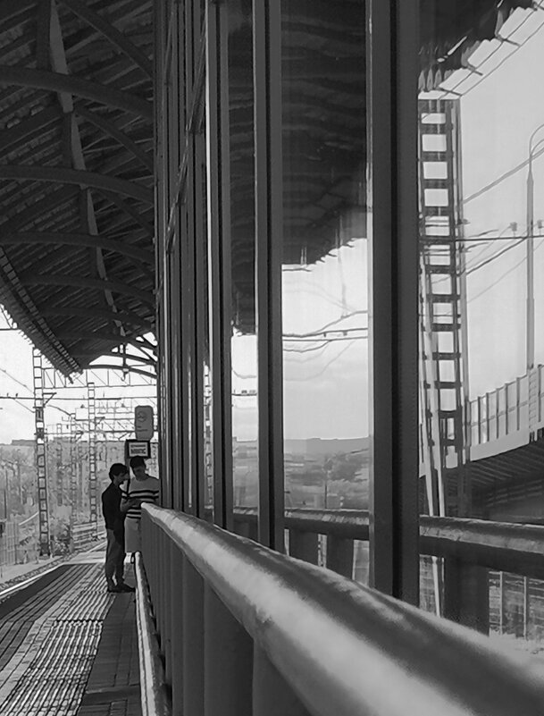 Черно-белая фотография. - Любимова Ольга 