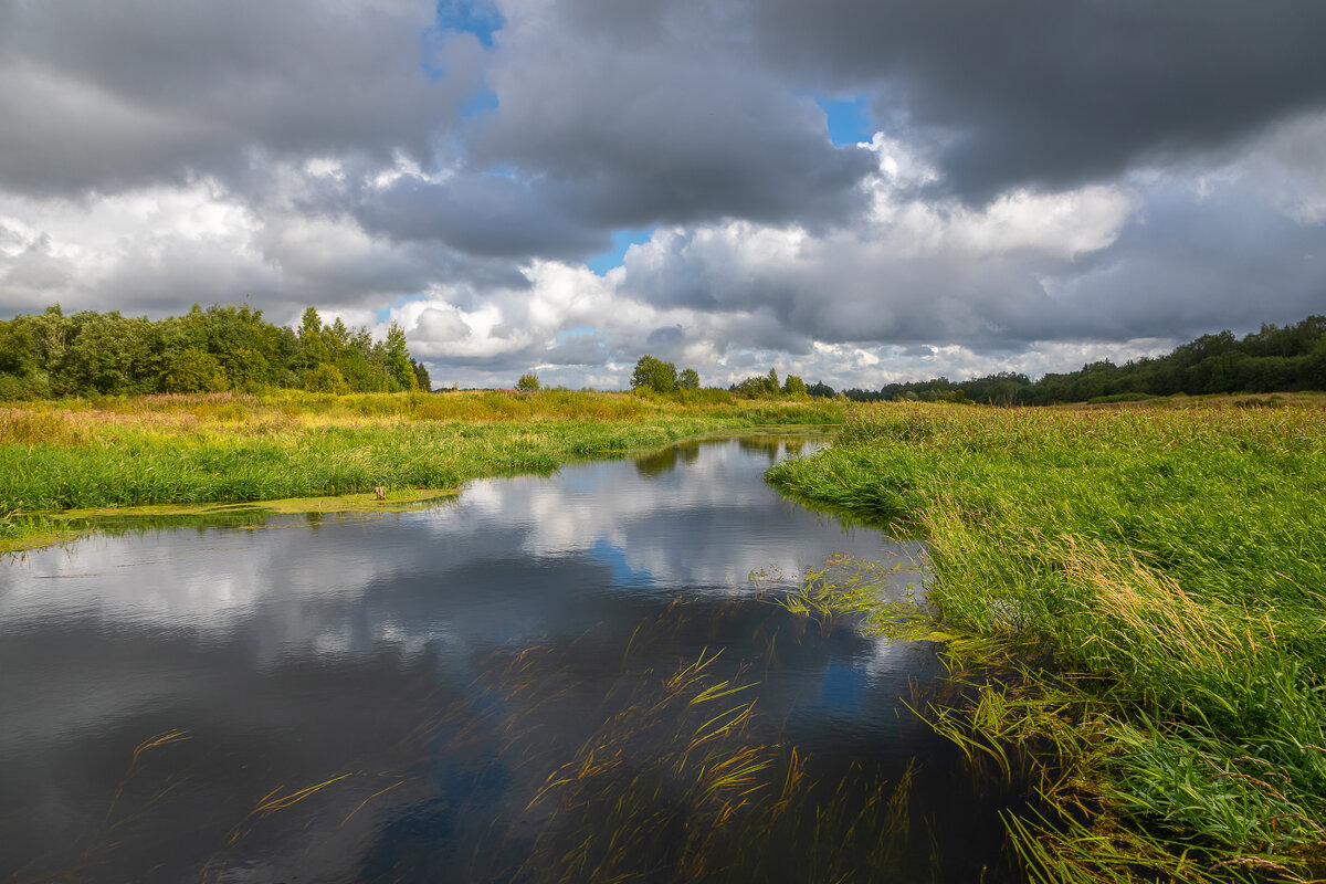 **** - Елизавета .
