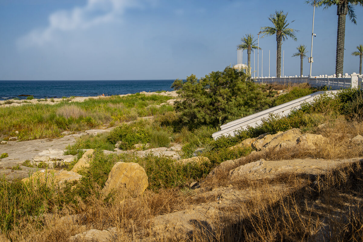 Каспийский берег - Анатолий Чикчирный