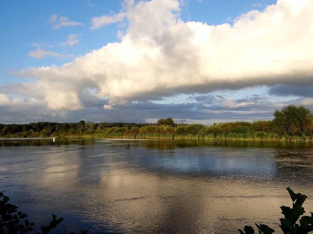 Природа - Антонина Гугаева