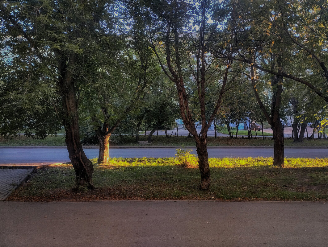 Утро красит нежным светом всё, что ввысь стремилось летом - Дмитрий Костоусов Утро красит нежным светом всё, что ввысь стремилось летом - Дмитрий Костоусов