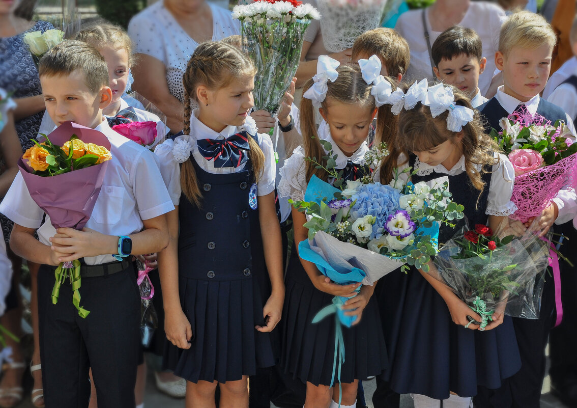 С Днём знаний! - Татьяна Машошина