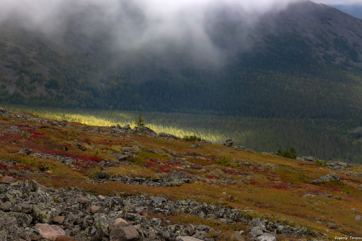 Последний день лета - Евгений Тарасов Последний день лета - Евгений Тарасов