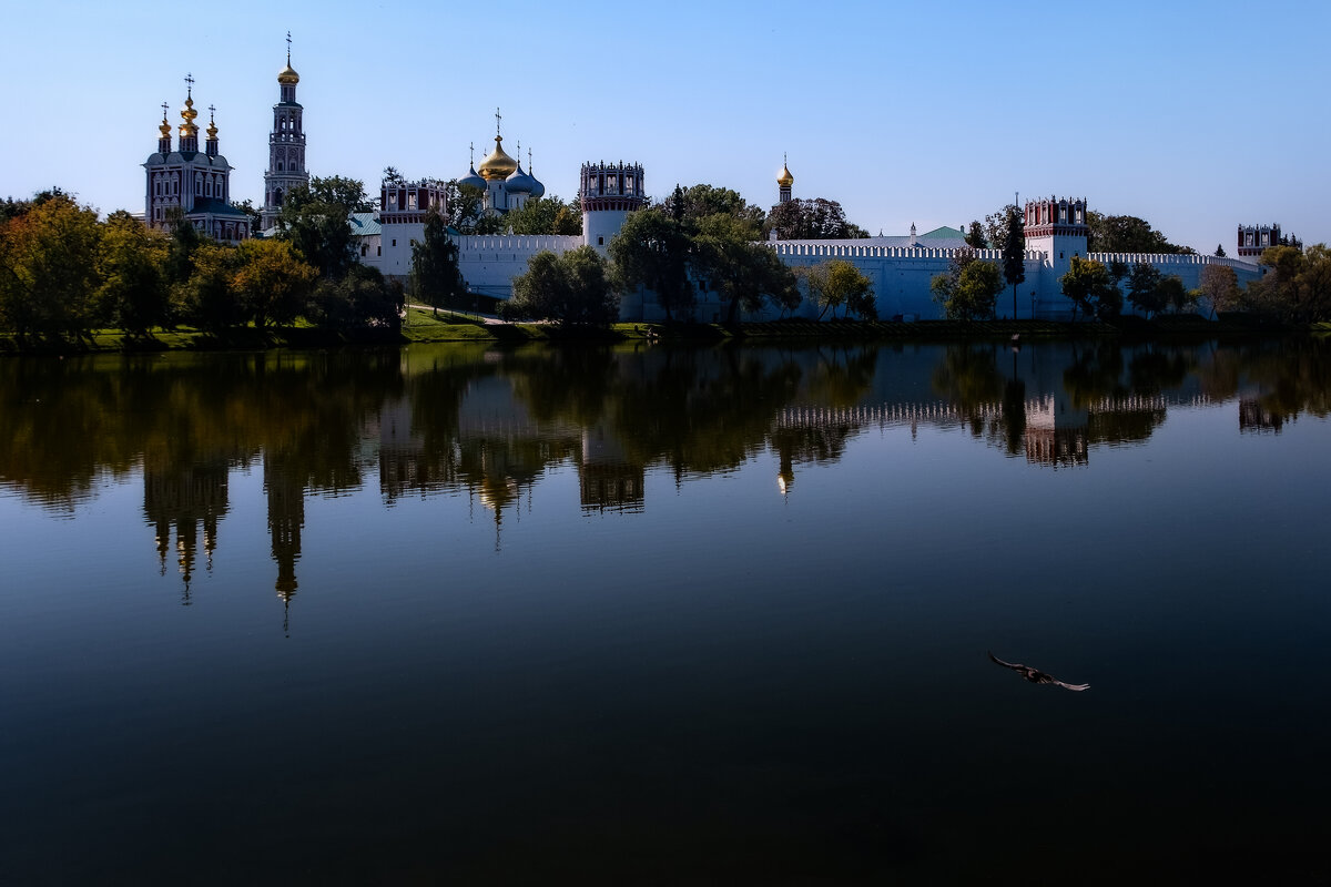 НОВОДЕВИЧИЙ МОНАСТЫРЬ - Александр 
