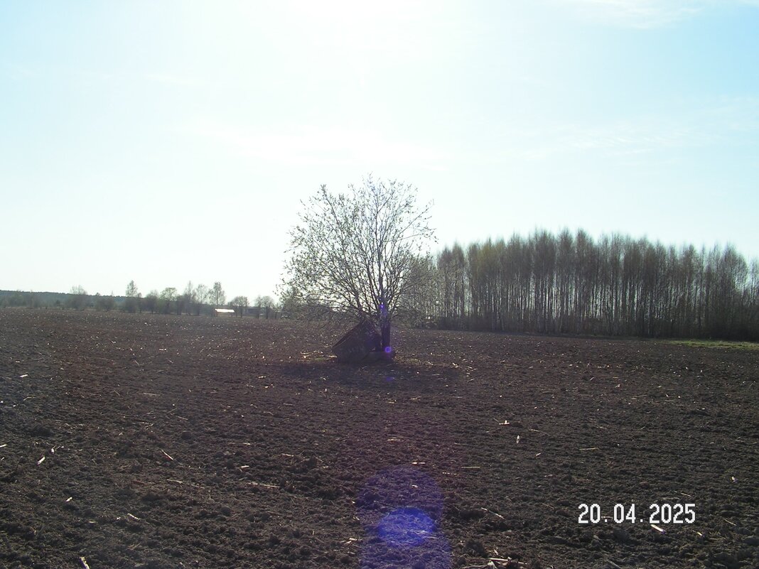 Без названия. - fogmeadowww m