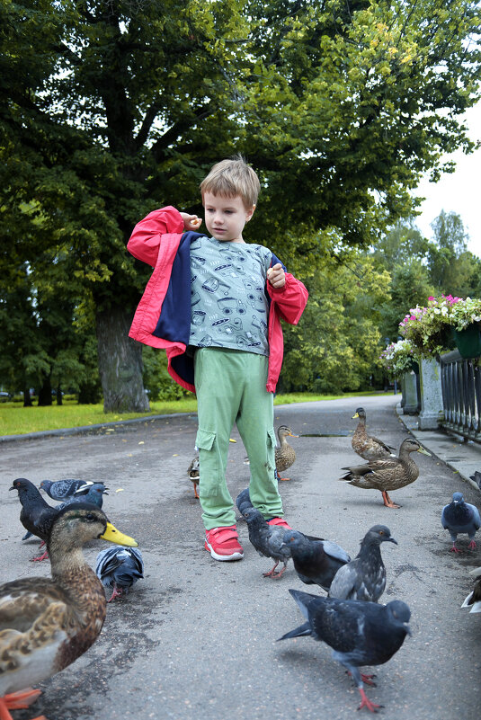 ... - ВЛАДИМИР 