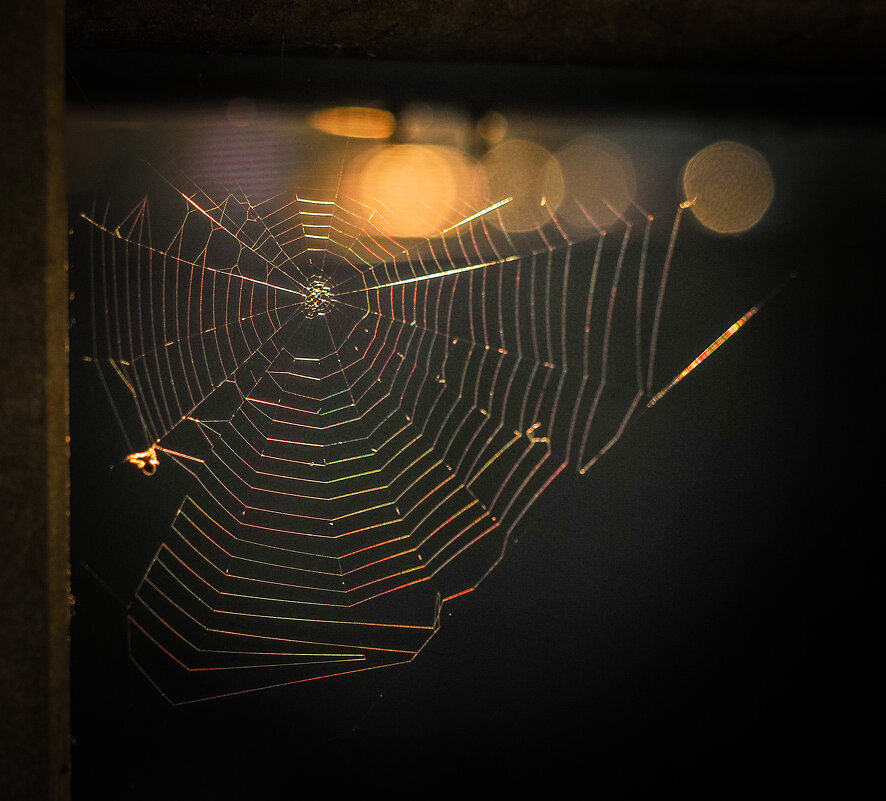 Вечернее - Магомед .