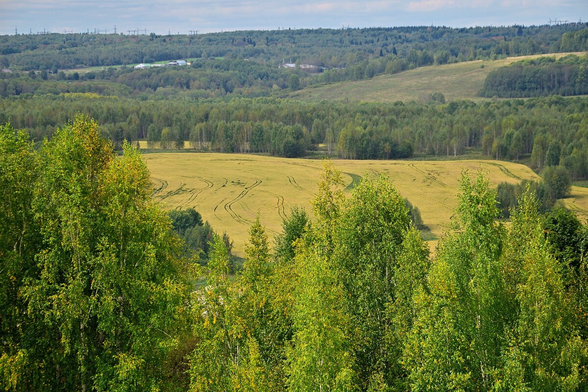 - - Владимир Мигонькин