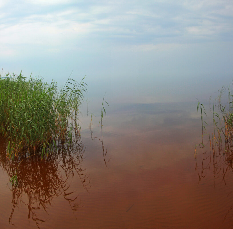 *** - Сергей Григорьев