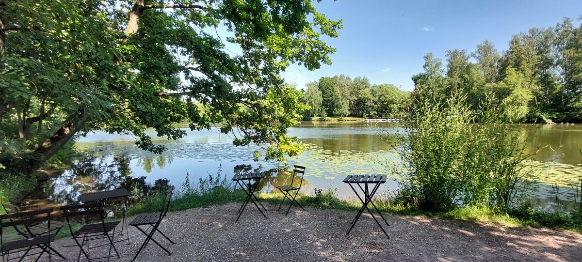 Большой пруд в Остафьево - ИРЭН@ . Большой пруд в Остафьево - ИРЭН@ .