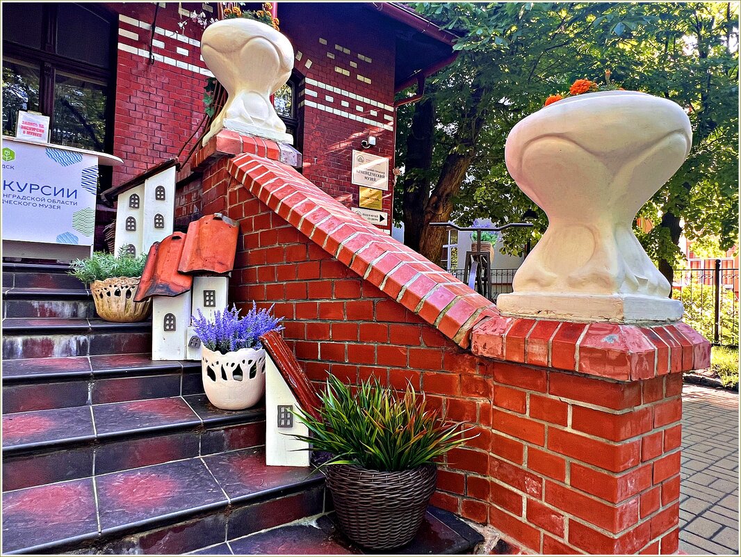 На ступеньках Краеведческого музея. - Валерия Комова