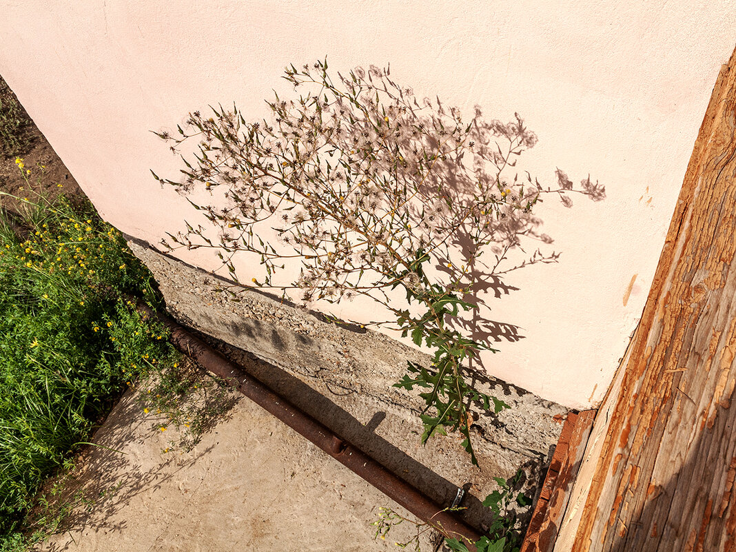 Cоюз - Дмитрий 