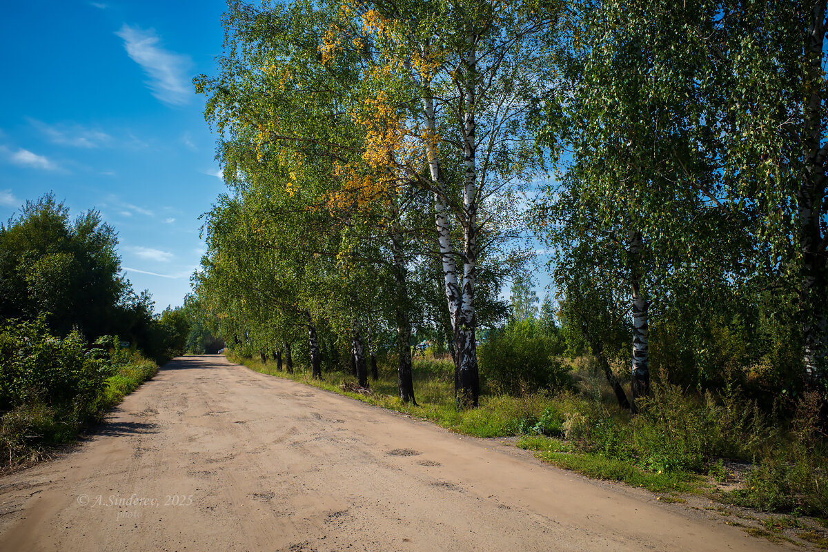 Сельская дорога - Александр Синдерёв