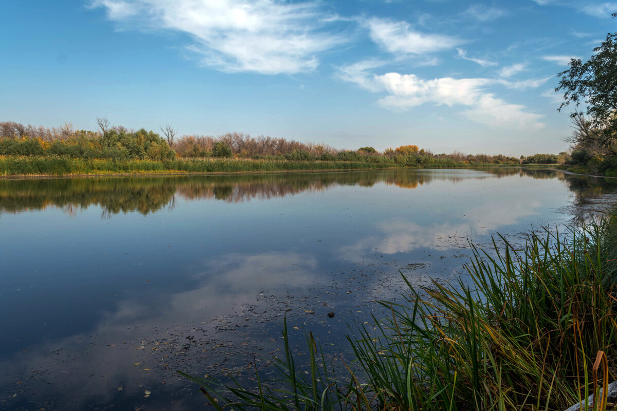 Осень - Владимир Жуков Осень - Владимир Жуков